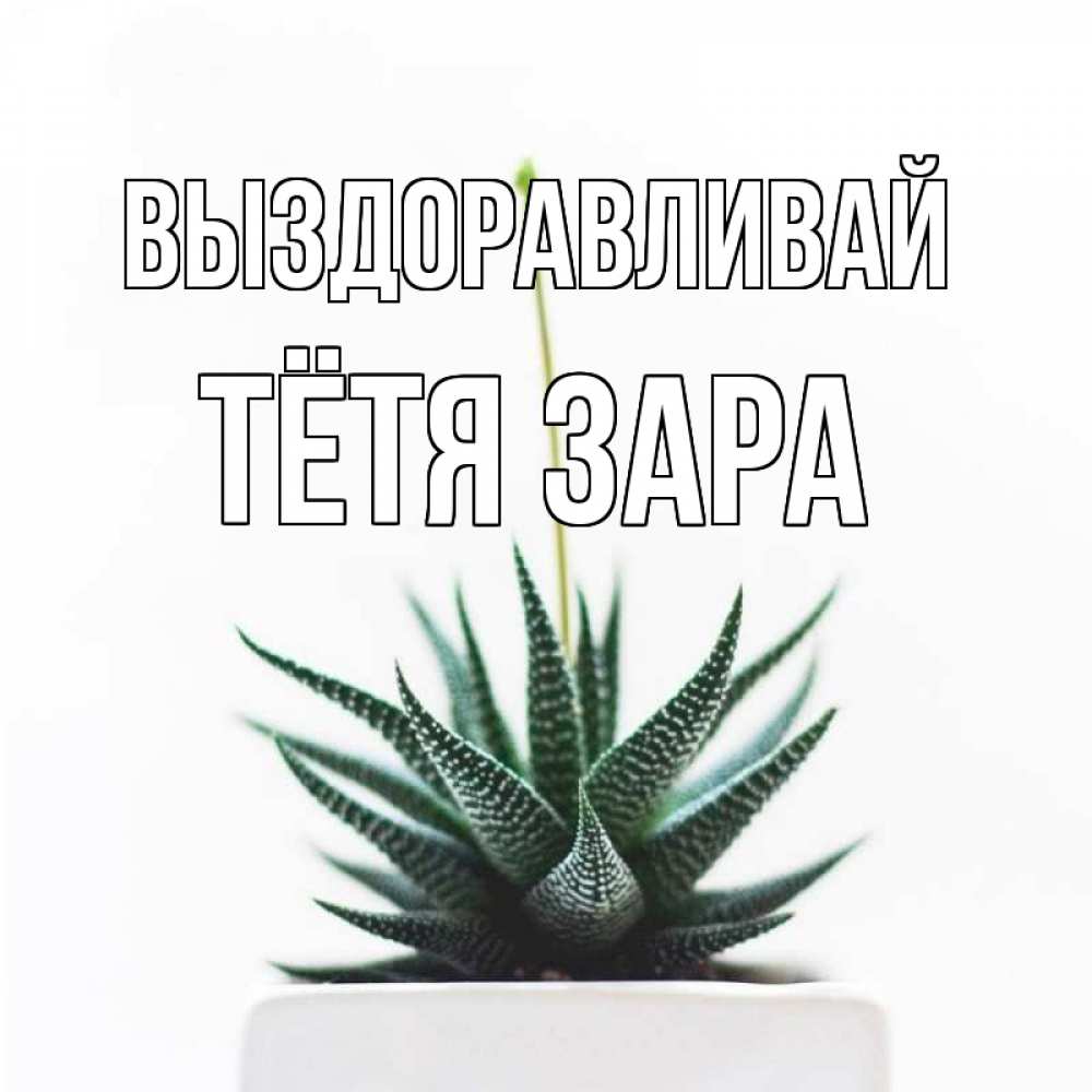 Открытка на каждый день с именем, Тётя-Зара Выздоравливай короче это непонятная колючка Прикольная открытка с пожеланием онлайн скачать бесплатно 