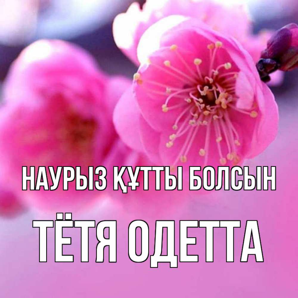 Открытка на каждый день с именем, Тётя-Одетта Наурыз құтты болсын наурыз мейрам Прикольная открытка с пожеланием онлайн скачать бесплатно 