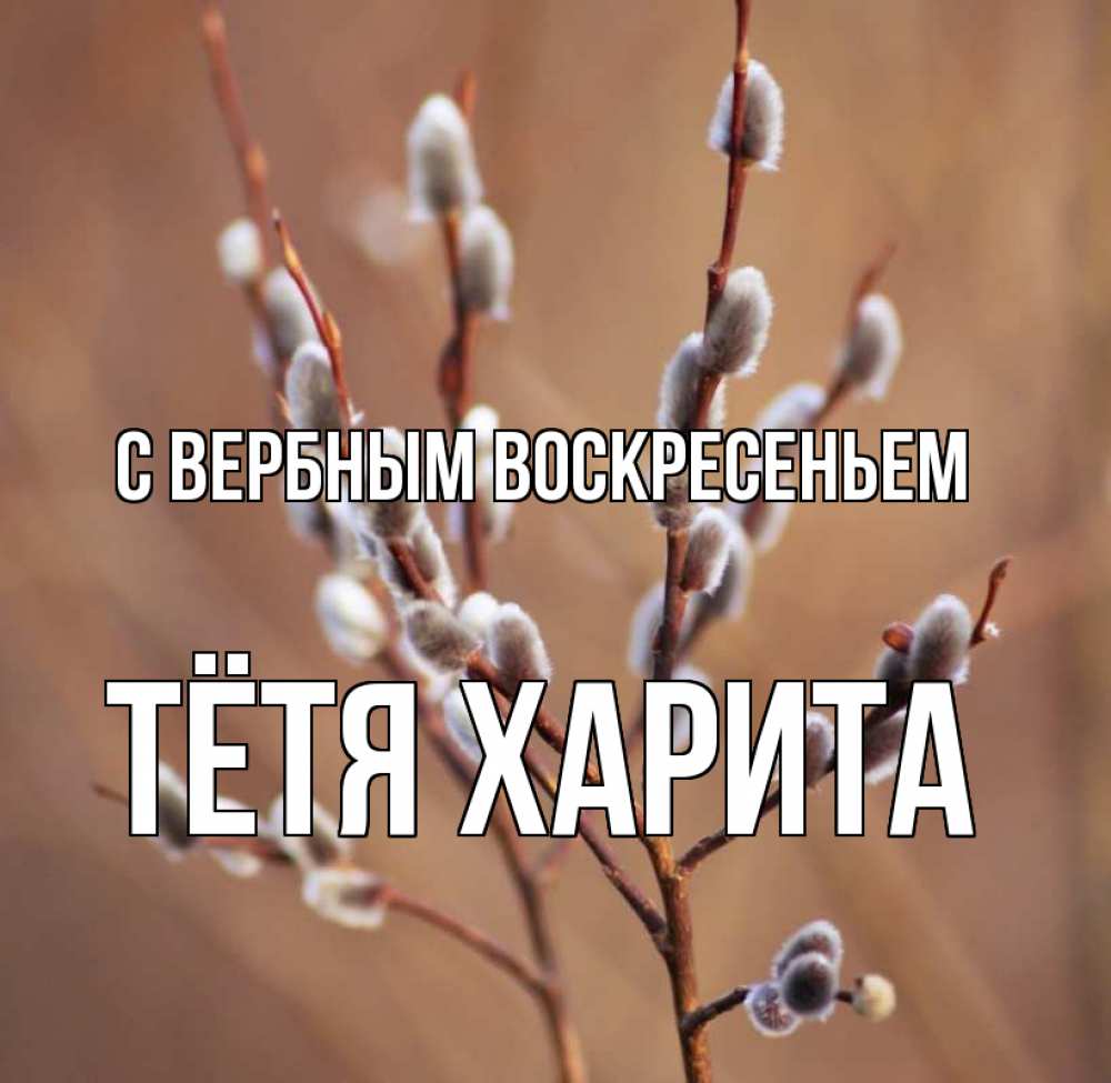 Открытка на каждый день с именем, Тётя-Харита С вербным воскресеньем верба Прикольная открытка с пожеланием онлайн скачать бесплатно 
