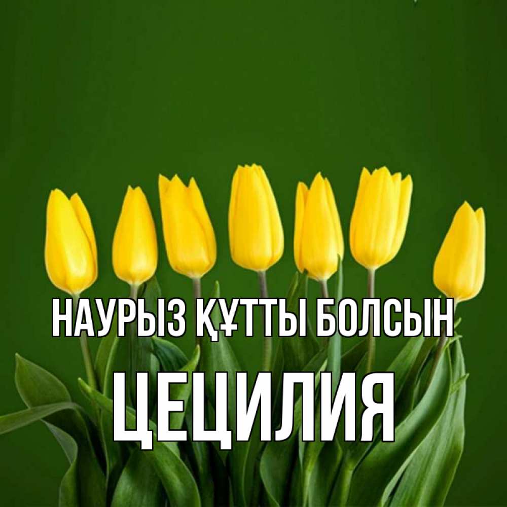 Открытка на каждый день с именем, Цецилия Наурыз құтты болсын желтого цвета 3 Прикольная открытка с пожеланием онлайн скачать бесплатно 