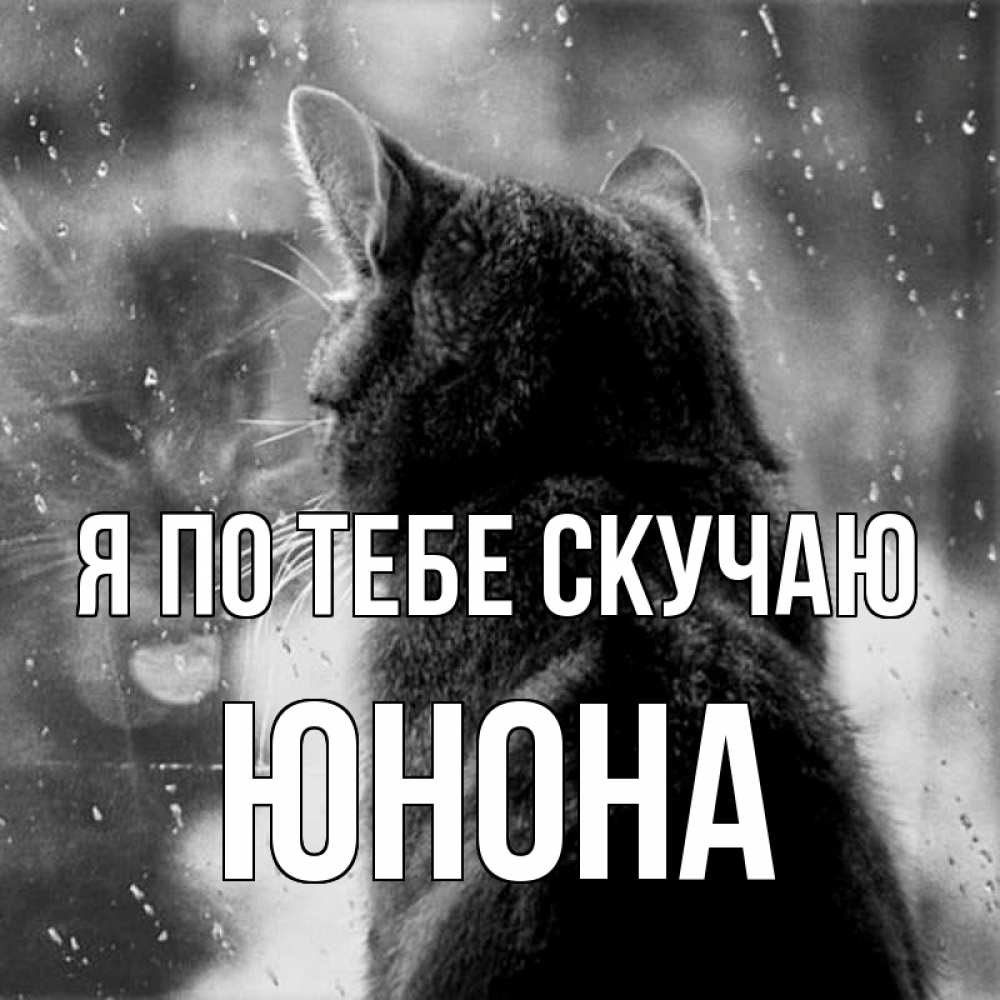 Открытка на каждый день с именем, Юнона Я по тебе скучаю скорее ко мне приходи 1 Прикольная открытка с пожеланием онлайн скачать бесплатно 