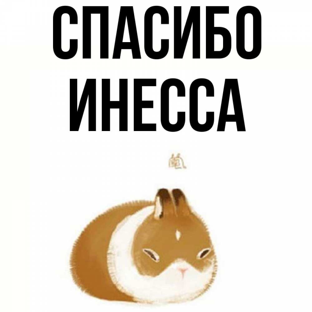 Картинки, прикольные картинки инесса