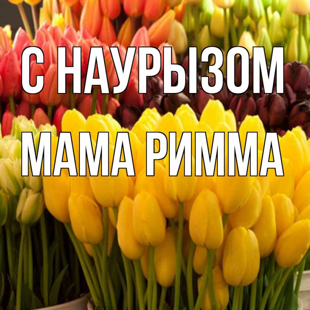 Открытка на каждый день с именем, Мама-Римма С наурызом цветы Прикольная открытка с пожеланием онлайн скачать бесплатно 
