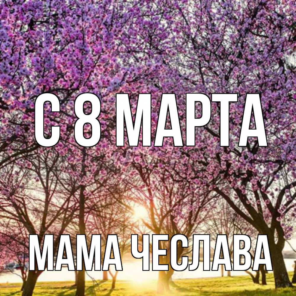 Открытка на каждый день с именем, Мама-Чеслава С 8 МАРТА международный женский день Прикольная открытка с пожеланием онлайн скачать бесплатно 