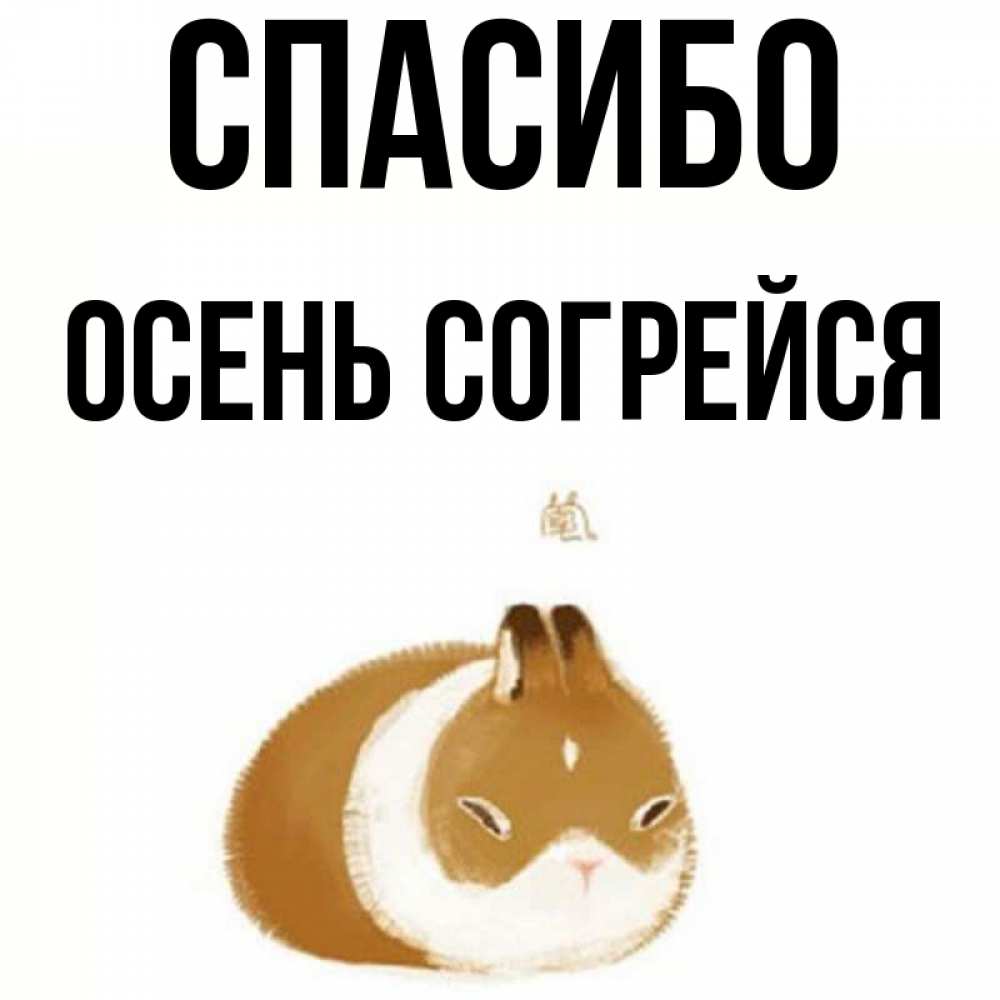 Я тебя люблю. Тепло в ладонях. Сердечко на снегу. Варежки теплые зимние. Сердце маме.
