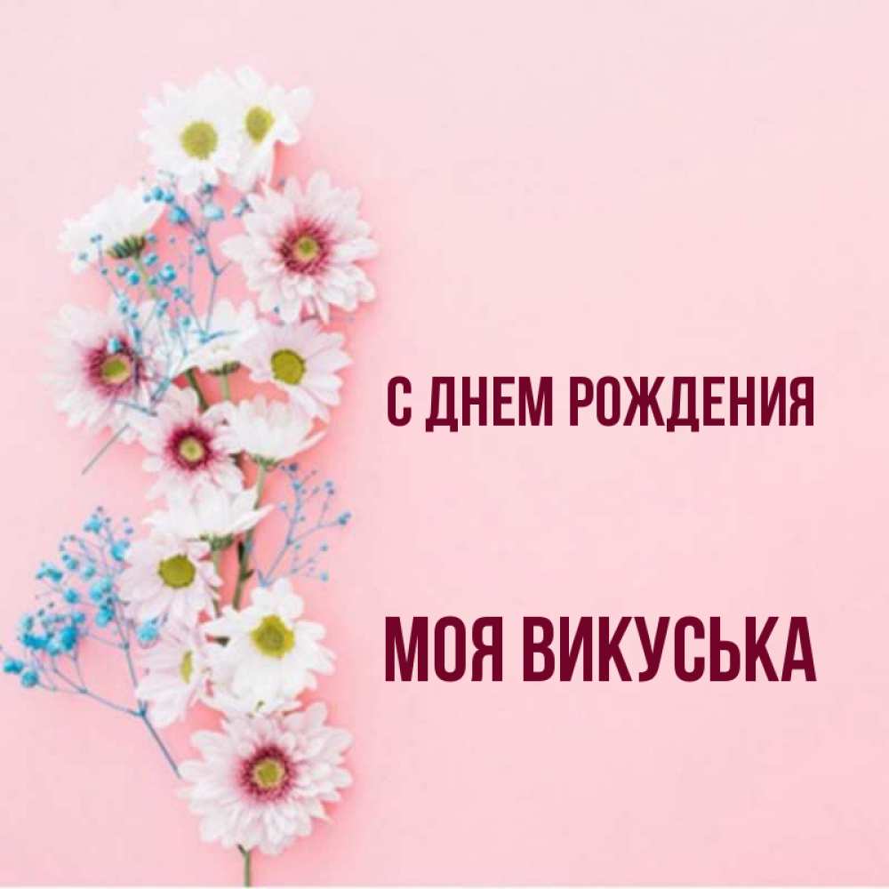 Викуська с днем рождения картинки
