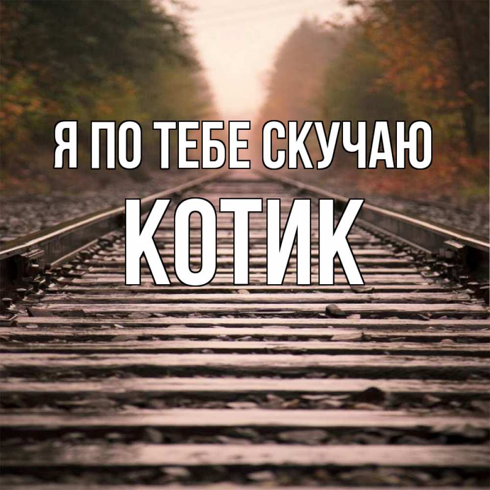 Открытка на каждый день с именем, Котик Я по тебе скучаю приезжай Прикольная открытка с пожеланием онлайн скачать бесплатно 