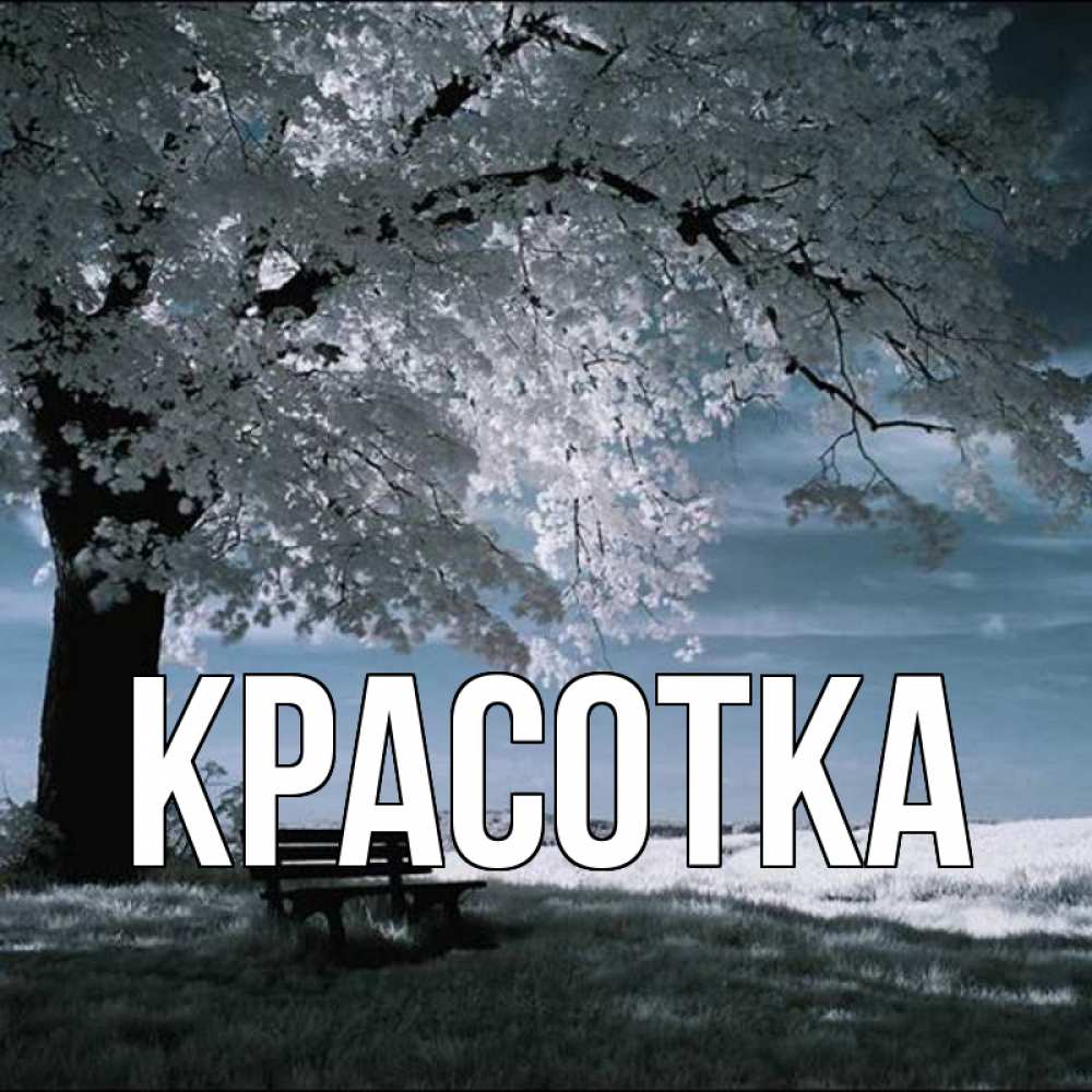 Открытка на каждый день с именем, красотка Главная дерево Прикольная открытка с пожеланием онлайн скачать бесплатно 