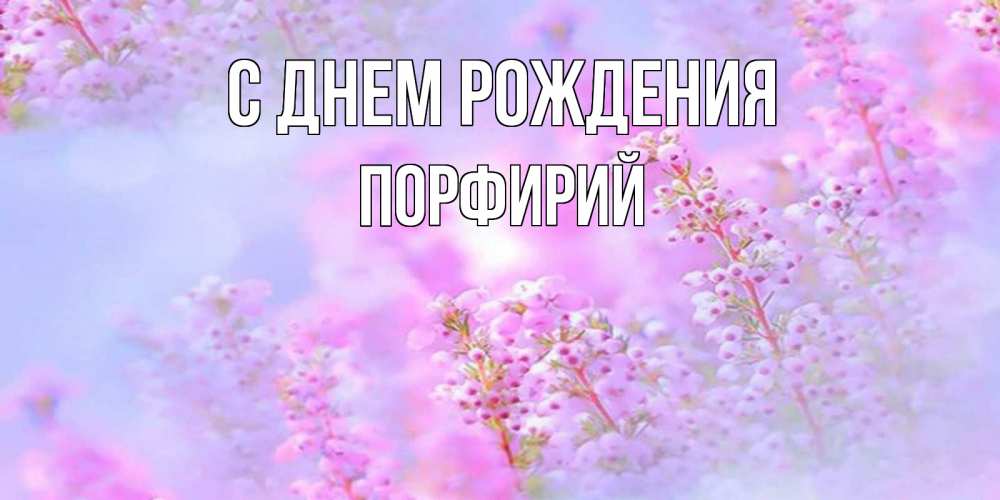 Открытка на каждый день с именем, Порфирий С днем рождения красивая открытка с мелкими цветами Прикольная открытка с пожеланием онлайн скачать бесплатно 