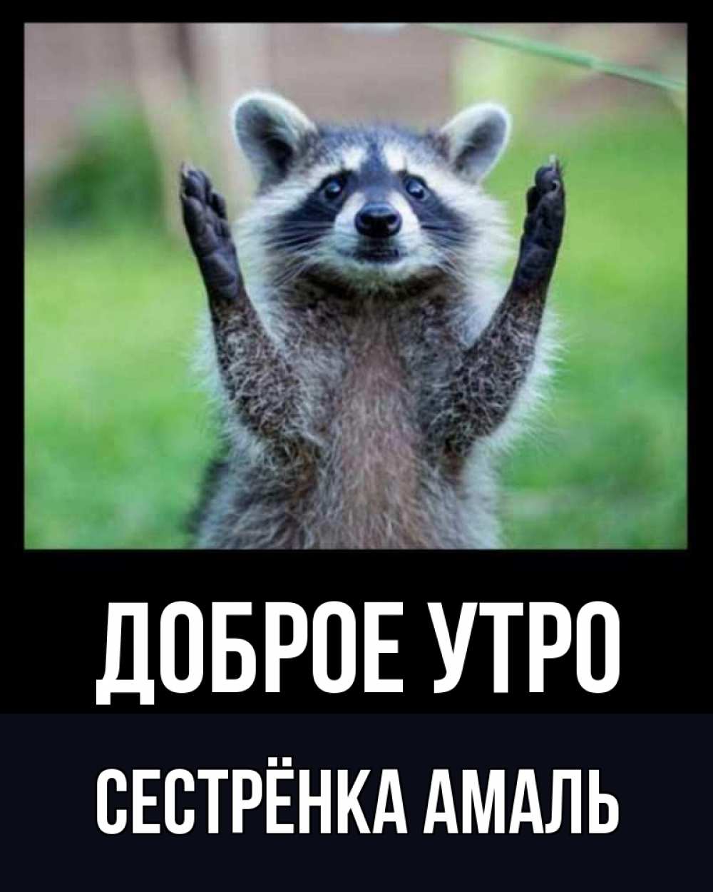 Открытка на каждый день с именем, Сестрёнка-Амаль Доброе утро хорошее настроение утречком Прикольная открытка с пожеланием онлайн скачать бесплатно 