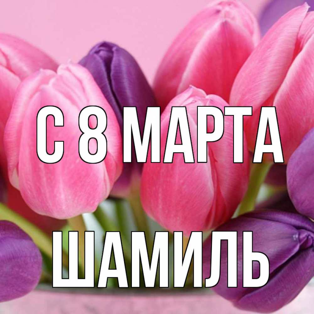 Открытка на каждый день с именем, Шамиль С 8 марта маме 1 Прикольная открытка с пожеланием онлайн скачать бесплатно 