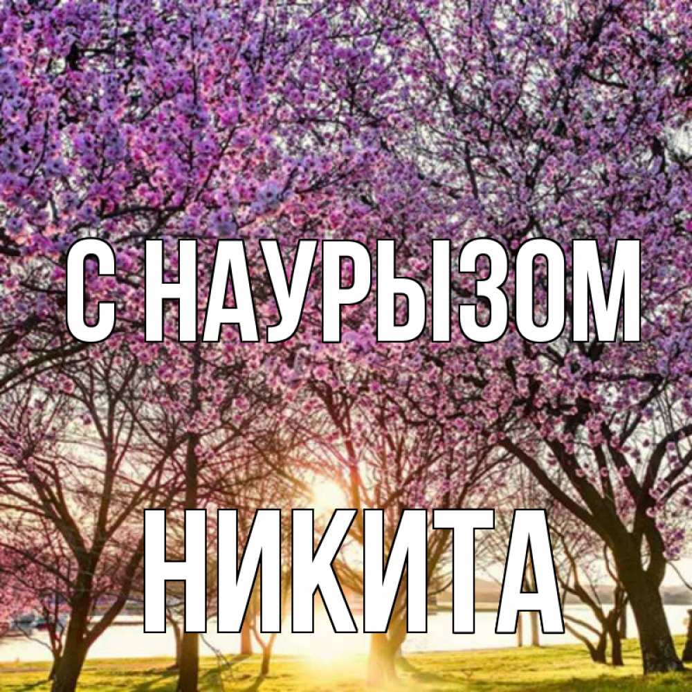 Открытка на каждый день с именем, Никита С наурызом праздник весны наурыз Прикольная открытка с пожеланием онлайн скачать бесплатно 
