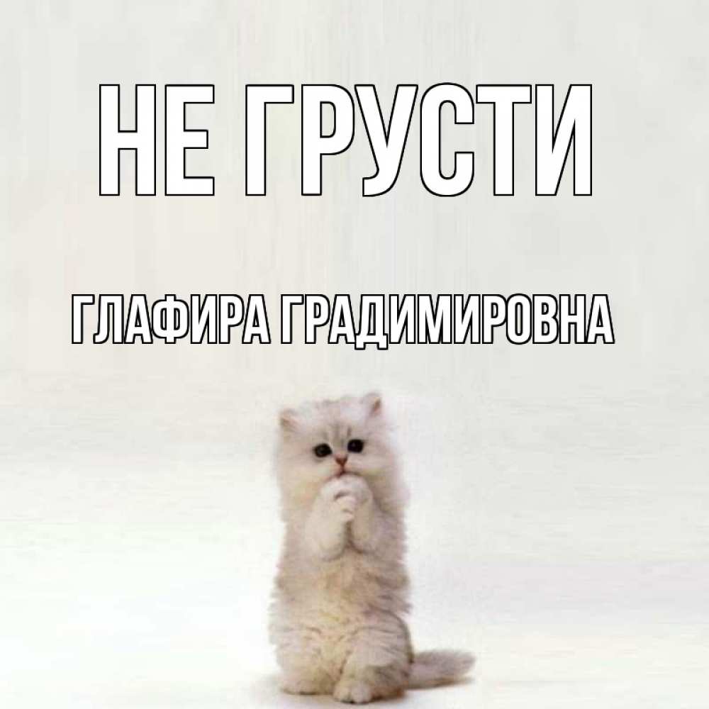Открытка на каждый день с именем, Глафира-Градимировна Не грусти грустный кот Прикольная открытка с пожеланием онлайн скачать бесплатно 