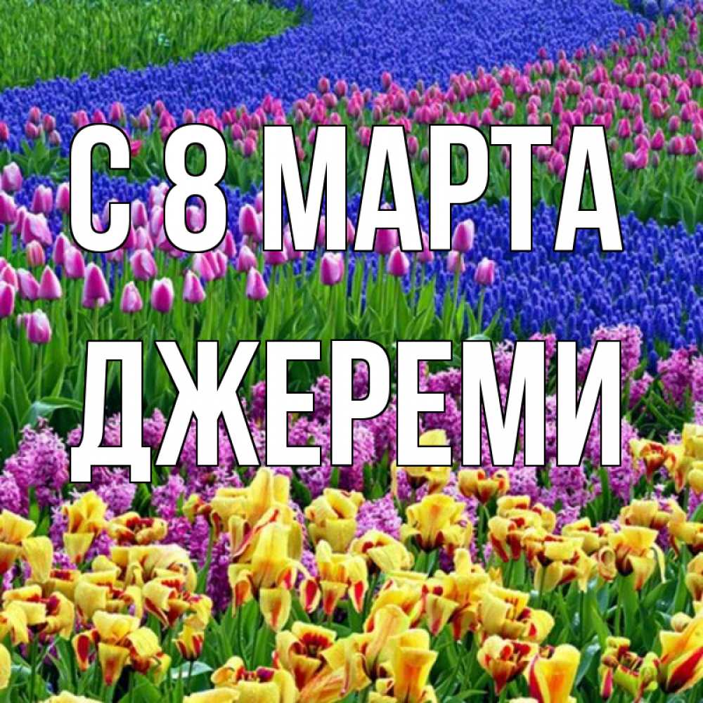 Картинка С 8 МАРТА, Джереми
