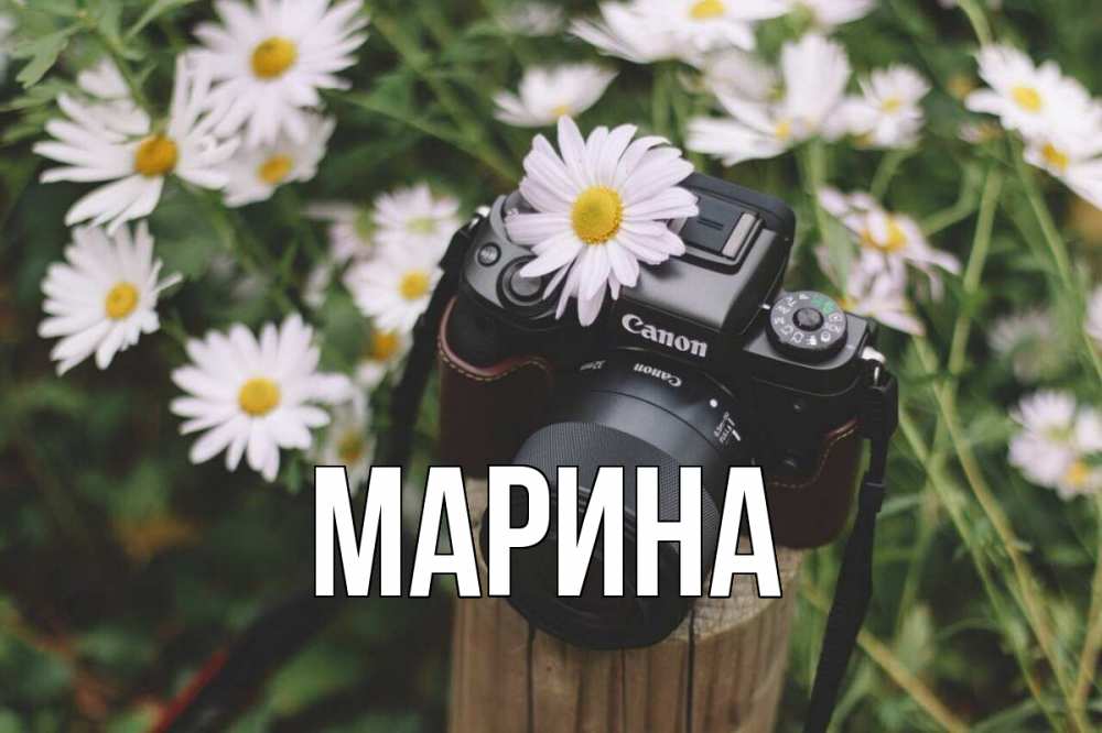 Открытка на каждый день с именем, Марина Главная с днем фотографа Прикольная открытка с пожеланием онлайн скачать бесплатно 