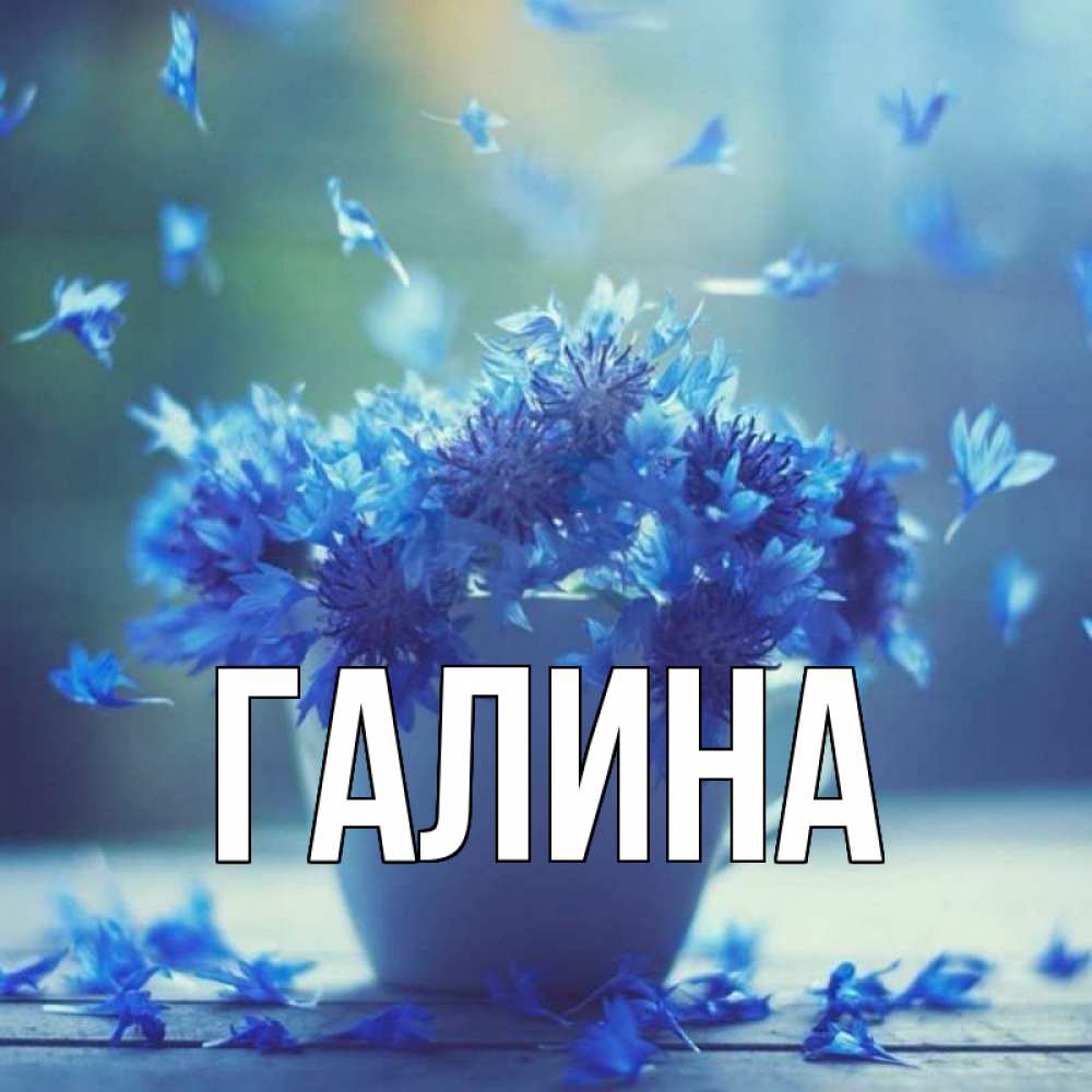 Открытка на каждый день с именем, Галина Главная кружка с зельем и цветами Прикольная открытка с пожеланием онлайн скачать бесплатно 