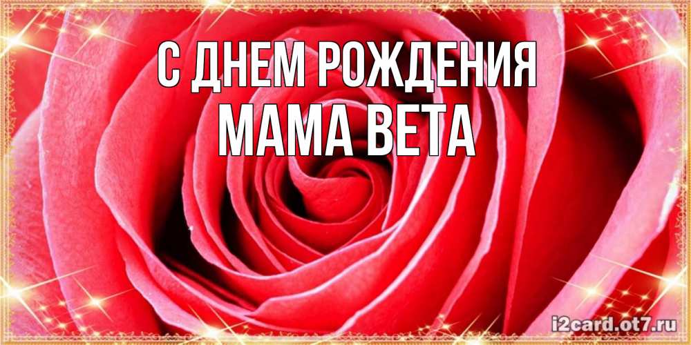 Открытка на каждый день с именем, Мама-Вета С днем рождения розовая роза очень крупный бутон Прикольная открытка с пожеланием онлайн скачать бесплатно 