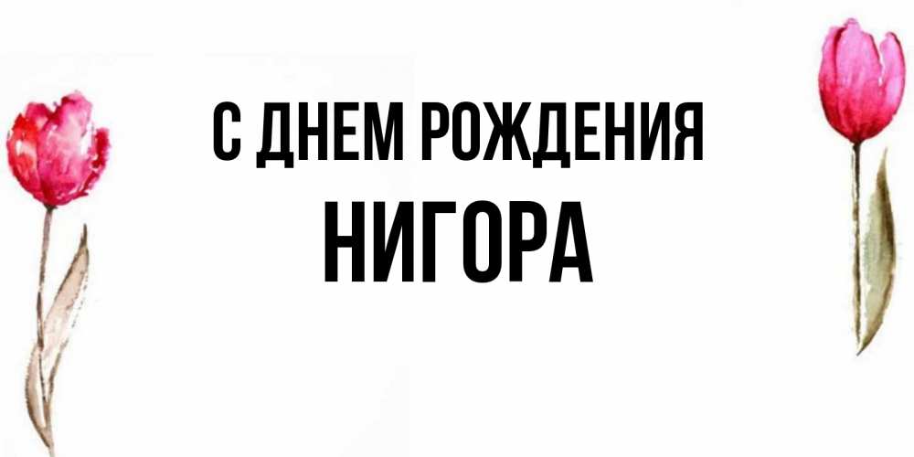 Нигора С Днем Рождения Открытки