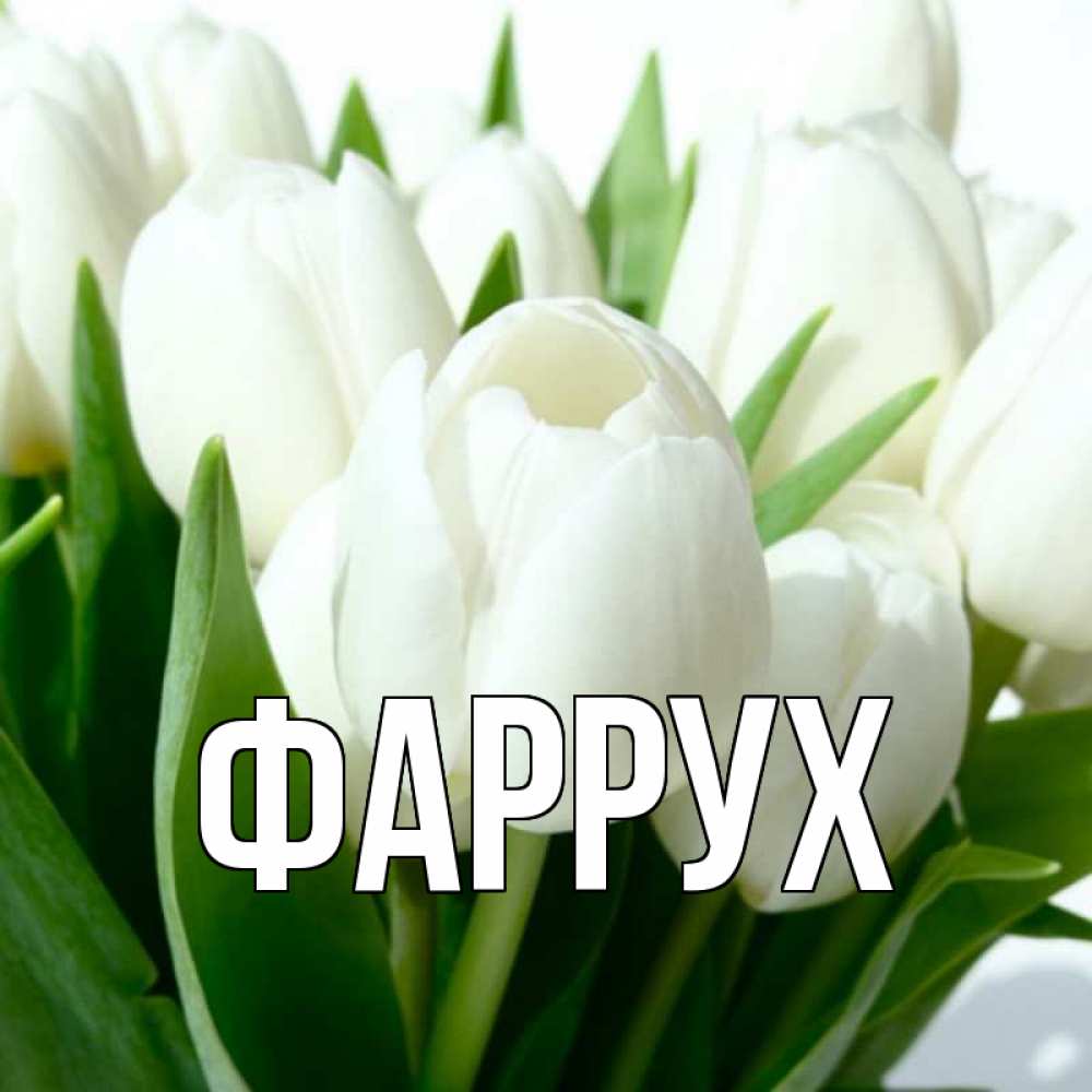 Картинка  с именем , Фаррух