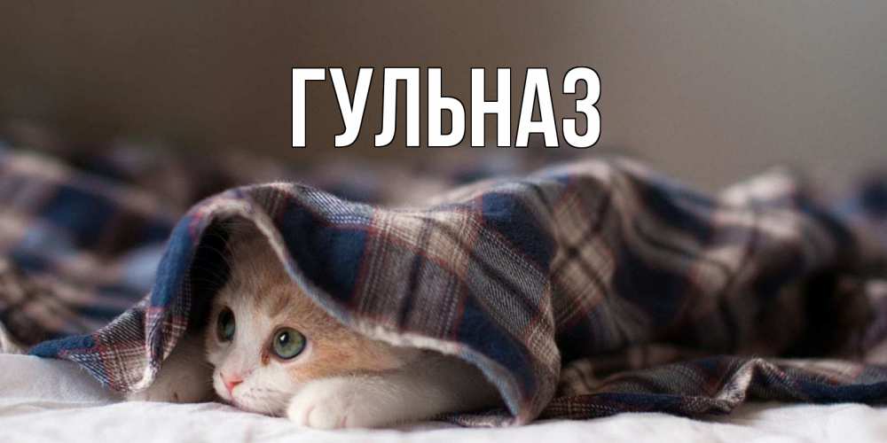 Картинка  с именем , Гульназ