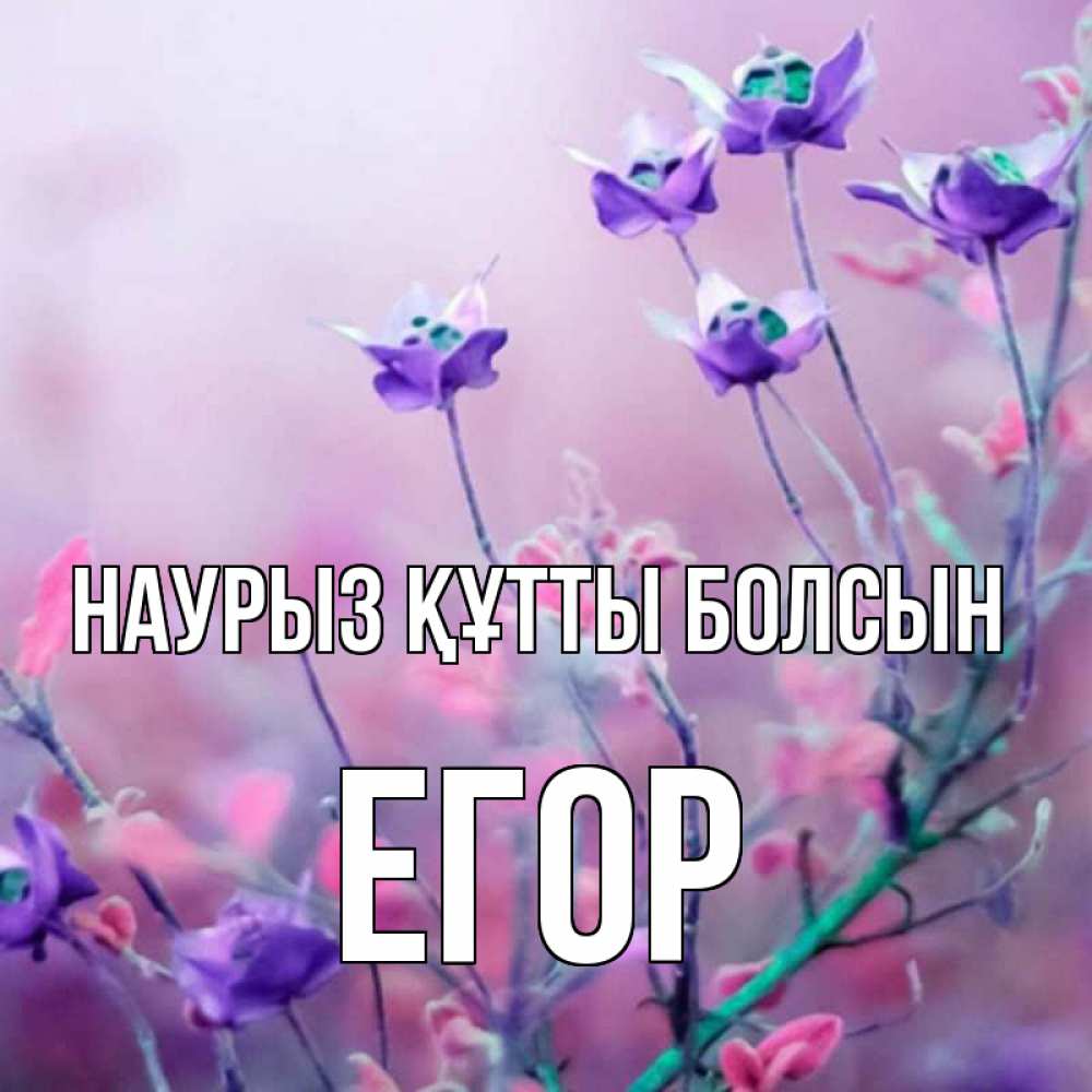 Открытка на каждый день с именем, Егор Наурыз құтты болсын наурыз  2 Прикольная открытка с пожеланием онлайн скачать бесплатно 