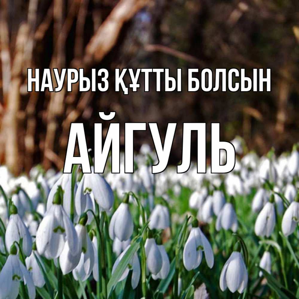 Открытка на каждый день с именем, Айгуль Наурыз құтты болсын с подснежниками 1 Прикольная открытка с пожеланием онлайн скачать бесплатно 