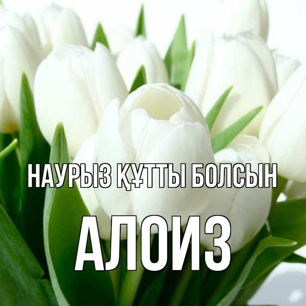 Открытка на каждый день с именем, Алоиз Наурыз құтты болсын цветы Прикольная открытка с пожеланием онлайн скачать бесплатно 