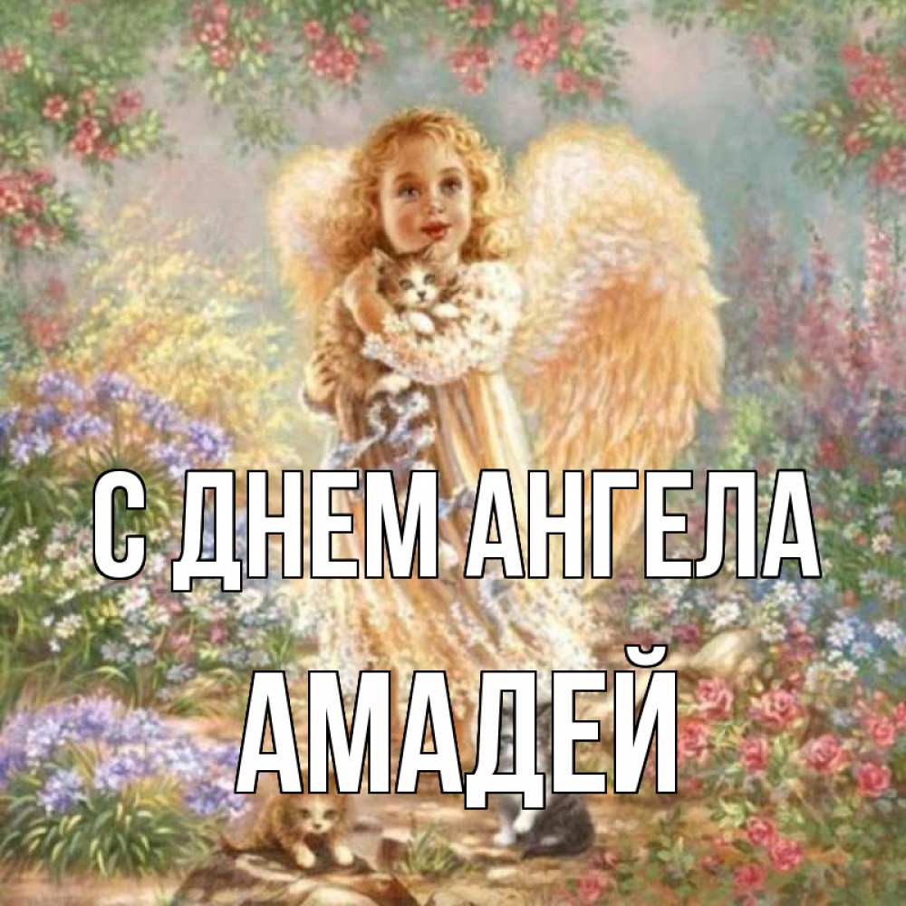 Открытка на каждый день с именем, Амадей С днем ангела держит котенка Прикольная открытка с пожеланием онлайн скачать бесплатно 