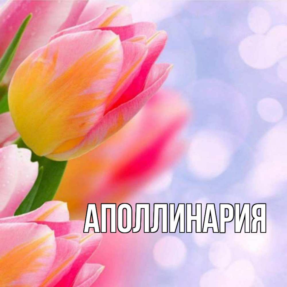 Открытка на каждый день с именем, Аполлинария Главная тюльпаны 2 Прикольная открытка с пожеланием онлайн скачать бесплатно 
