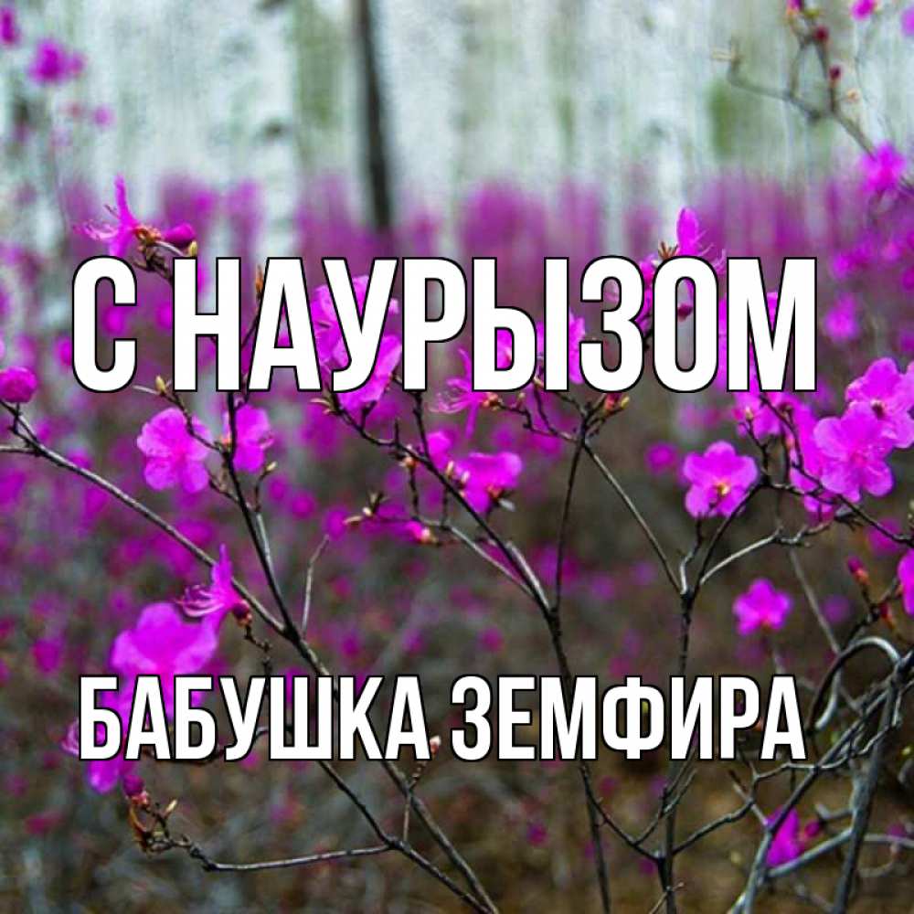 Открытка на каждый день с именем, Бабушка-Земфира С наурызом дикие цветы Прикольная открытка с пожеланием онлайн скачать бесплатно 