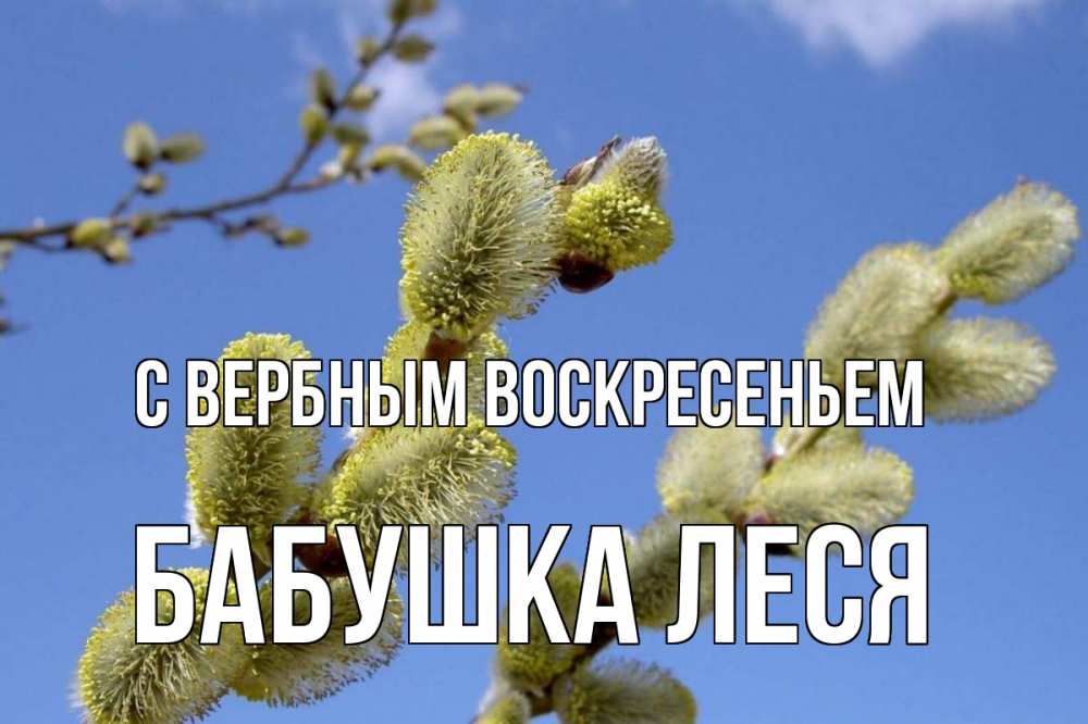 Открытка на каждый день с именем, Бабушка-Леся С вербным воскресеньем верба Прикольная открытка с пожеланием онлайн скачать бесплатно 