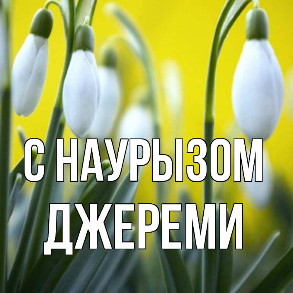Открытка на каждый день с именем, Джереми С наурызом весенние цветы Прикольная открытка с пожеланием онлайн скачать бесплатно 