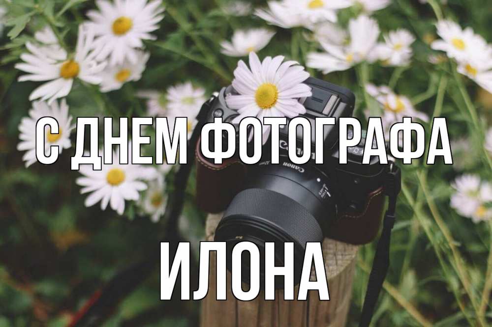 Открытка на каждый день с именем, Илона С днем фотографа с днем фотографа Прикольная открытка с пожеланием онлайн скачать бесплатно 