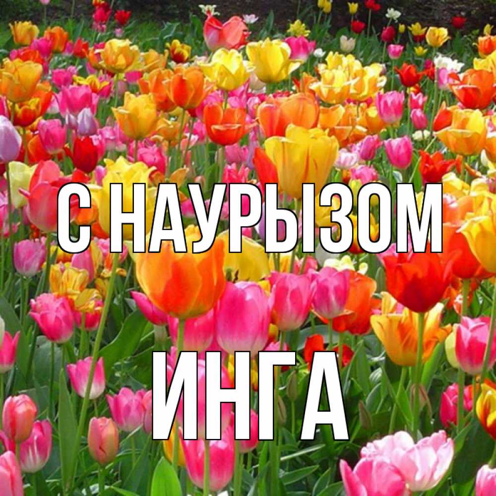 Открытка на каждый день с именем, Инга С наурызом праздник весны наурыз 4 Прикольная открытка с пожеланием онлайн скачать бесплатно 