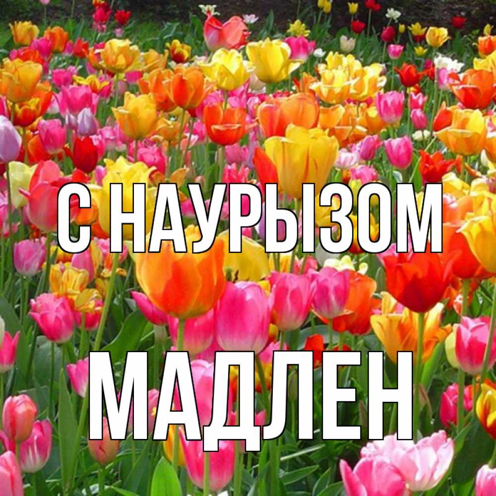 Открытка на каждый день с именем, Мадлен С наурызом праздник весны наурыз 4 Прикольная открытка с пожеланием онлайн скачать бесплатно 