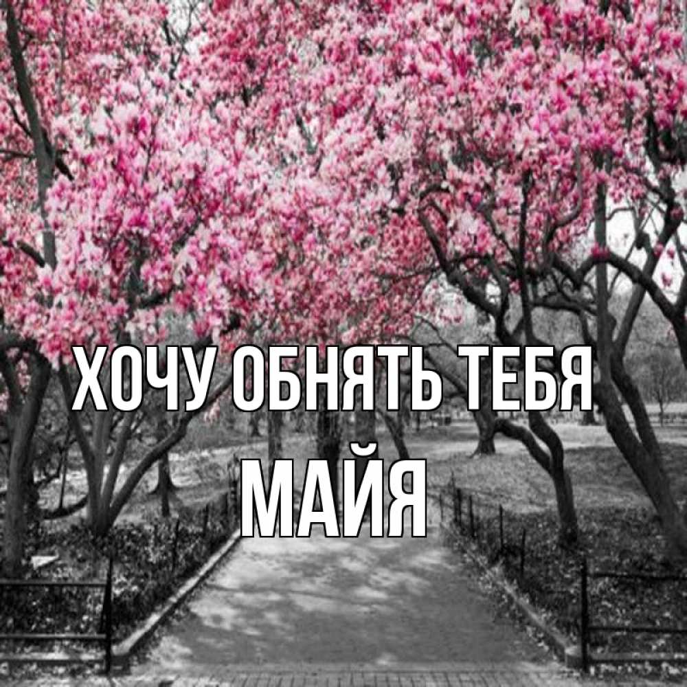 Открытка на каждый день с именем, Майя Хочу обнять тебя обработанное фото Прикольная открытка с пожеланием онлайн скачать бесплатно 