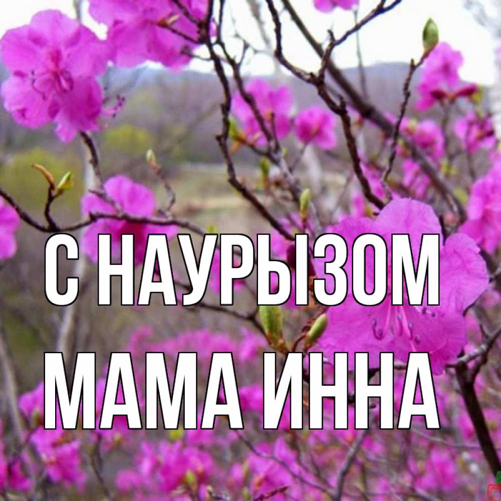 Открытка на каждый день с именем, Мама-Инна С наурызом праздник весны наурыз Прикольная открытка с пожеланием онлайн скачать бесплатно 