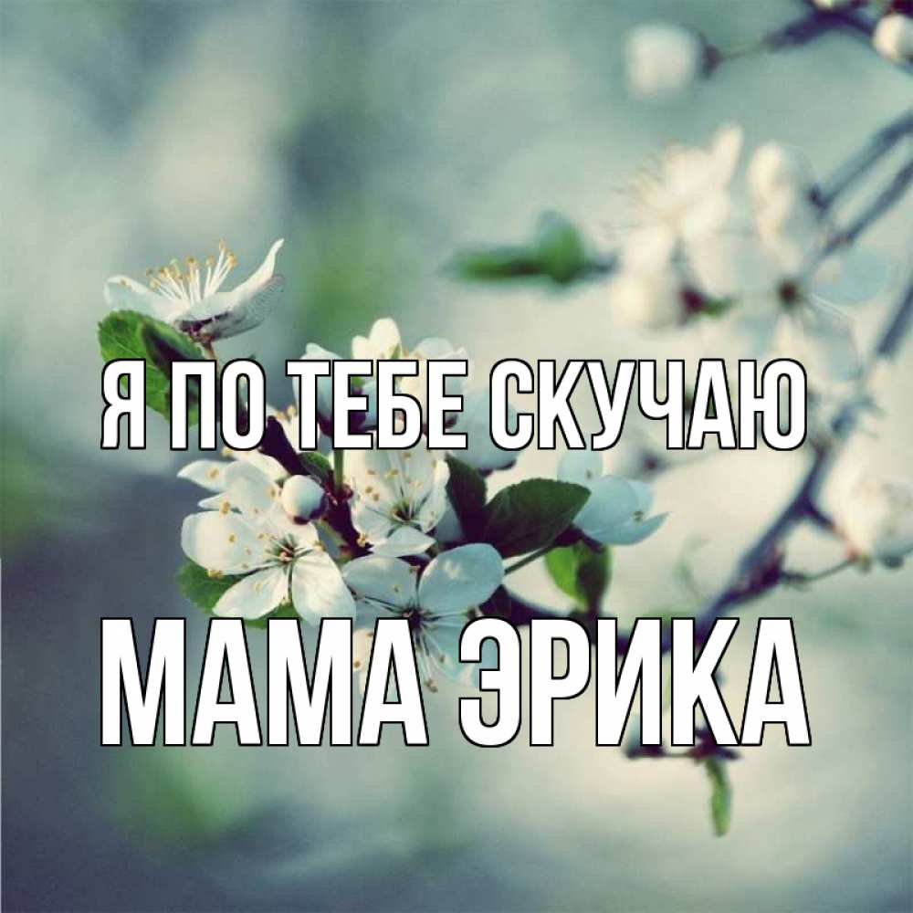 Открытка на каждый день с именем, Мама-Эрика Я по тебе скучаю весна Прикольная открытка с пожеланием онлайн скачать бесплатно 