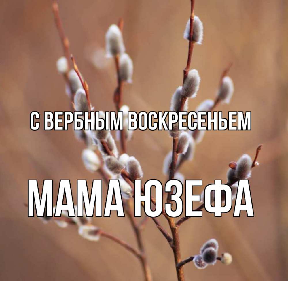 Открытка на каждый день с именем, Мама-Юзефа С вербным воскресеньем верба Прикольная открытка с пожеланием онлайн скачать бесплатно 