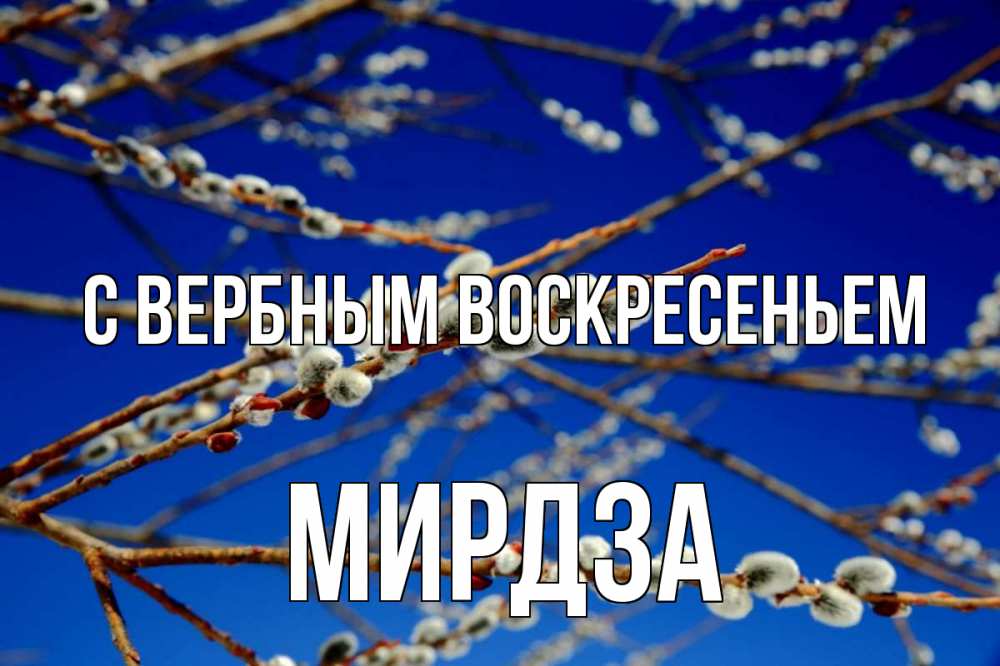 Открытка на каждый день с именем, Мирдза С вербным воскресеньем верба Прикольная открытка с пожеланием онлайн скачать бесплатно 