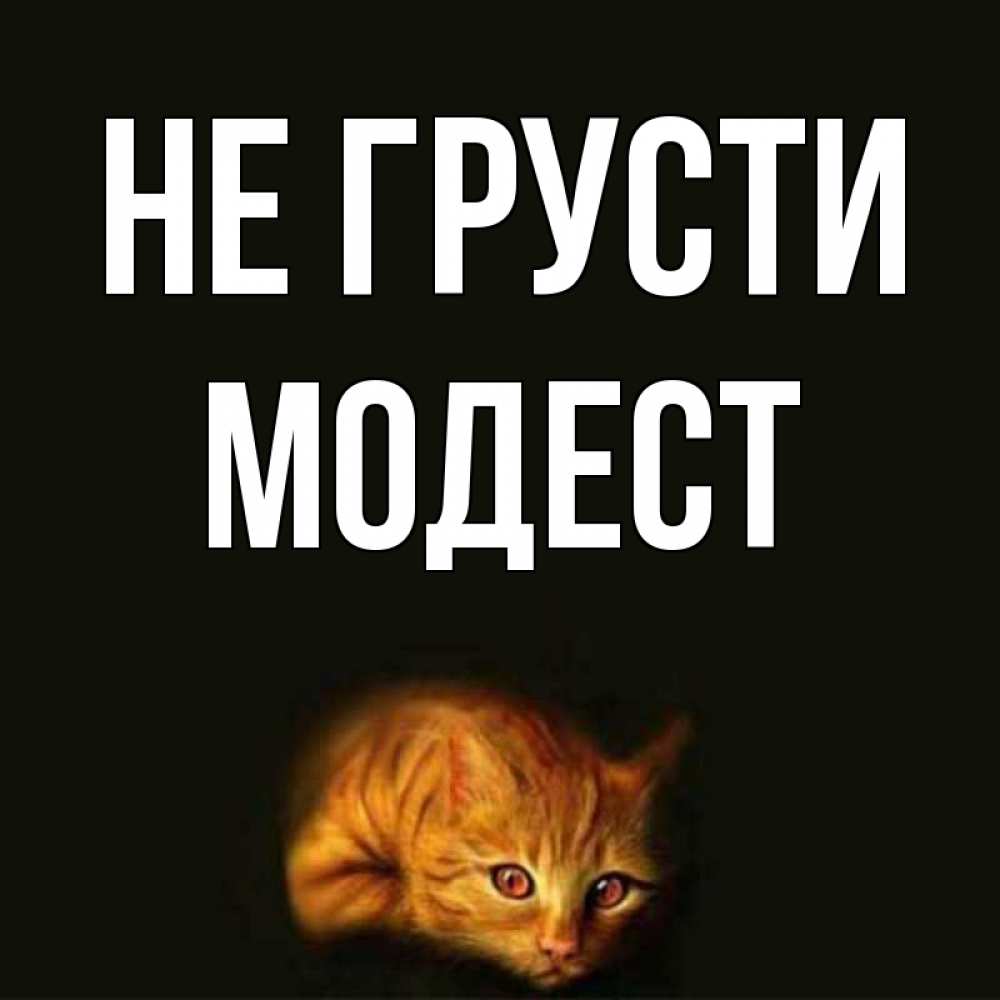 Открытка на каждый день с именем, Модест Не грусти лежащий кот в темноте Прикольная открытка с пожеланием онлайн скачать бесплатно 
