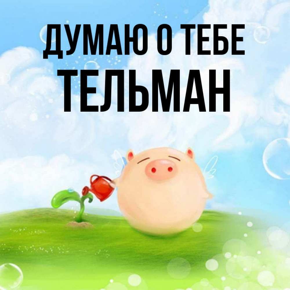 Открытка на каждый день с именем, Тельман Думаю о тебе позитивная свинюшка Прикольная открытка с пожеланием онлайн скачать бесплатно 