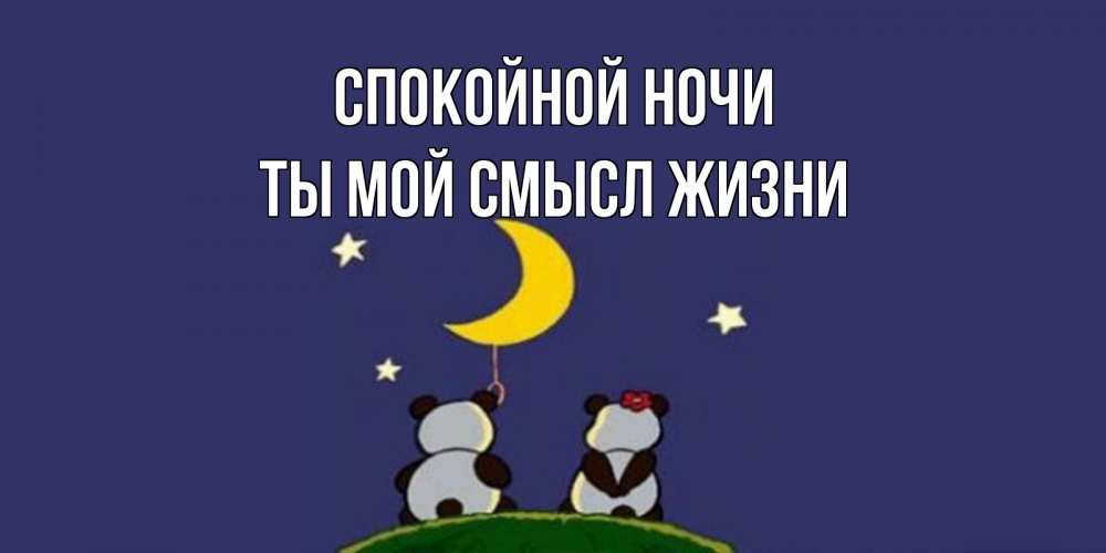 Открытка на каждый день с именем, Ты-мой-смысл-жизни Спокойной ночи открытка с пожеланиями хорошо выспаться Прикольная открытка с пожеланием онлайн скачать бесплатно 