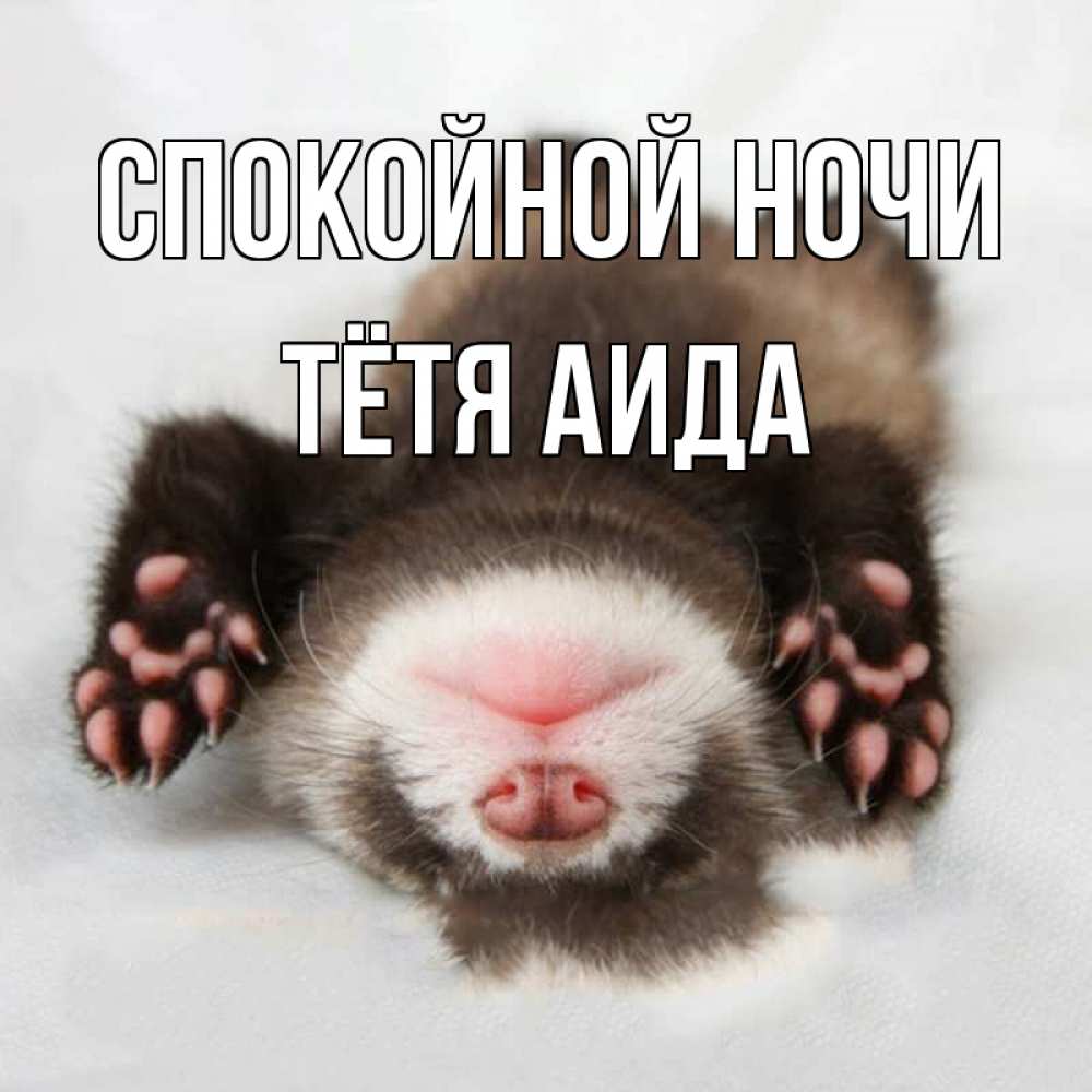 Открытка на каждый день с именем, Тётя-Аида Спокойной ночи зверек Прикольная открытка с пожеланием онлайн скачать бесплатно 