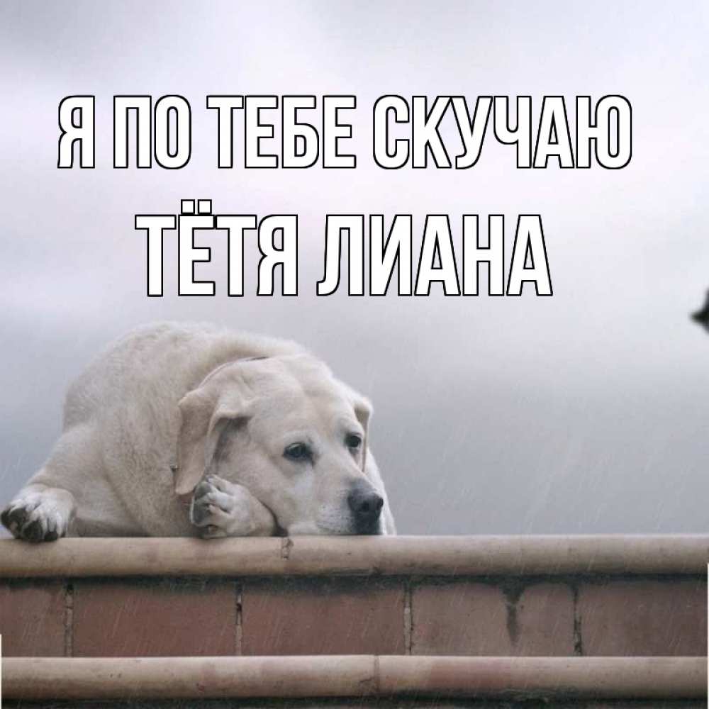 Открытка на каждый день с именем, Тётя-Лиана Я по тебе скучаю ждет Прикольная открытка с пожеланием онлайн скачать бесплатно 