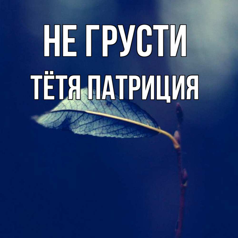 Открытка на каждый день с именем, Тётя-Патриция Не грусти растение Прикольная открытка с пожеланием онлайн скачать бесплатно 