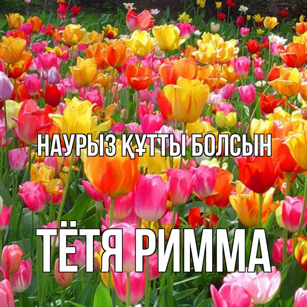 Открытка на каждый день с именем, Тётя-Римма Наурыз құтты болсын на наурыз  ура ура Прикольная открытка с пожеланием онлайн скачать бесплатно 