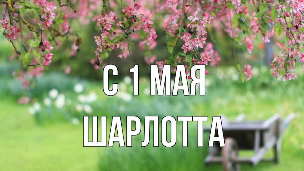 Открытка на каждый день с именем, Шарлотта С 1 мая С 1 мая Прикольная открытка с пожеланием онлайн скачать бесплатно 