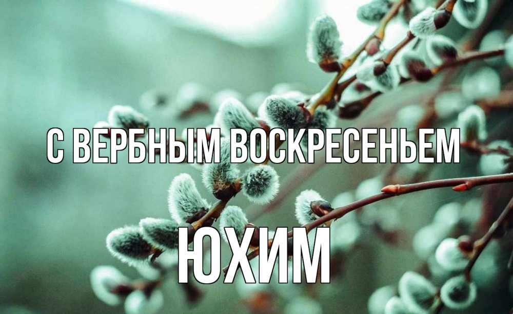 Открытка на каждый день с именем, Юхим С вербным воскресеньем верба Прикольная открытка с пожеланием онлайн скачать бесплатно 