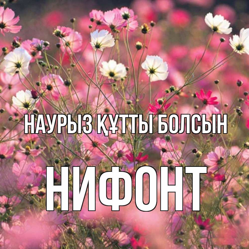 Открытка на каждый день с именем, Нифонт Наурыз құтты болсын красиво 1 Прикольная открытка с пожеланием онлайн скачать бесплатно 